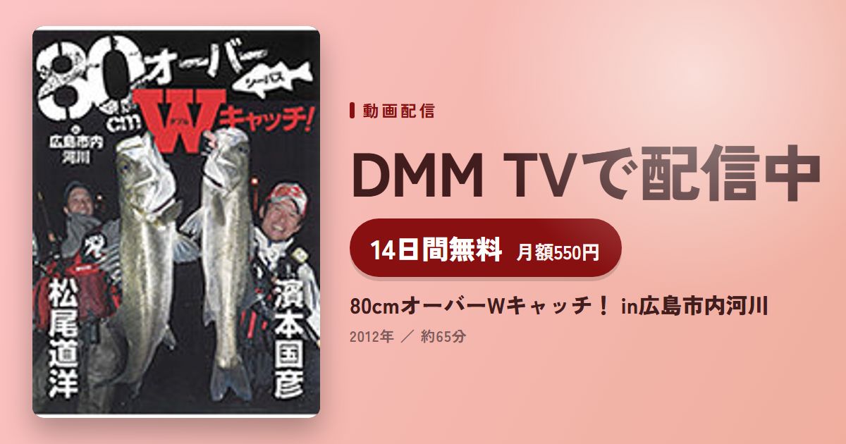 80cmオーバーWキャッチ！ in広島市内河川のアイキャッチ