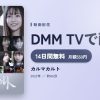 カルマカルトのアイキャッチ
