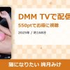 猫になりたい 絢月みけのアイキャッチ