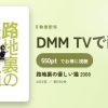 路地裏の優しい猫 2008のアイキャッチ