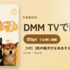 【VR】3匹の柴犬ひなあおそらのアイキャッチ