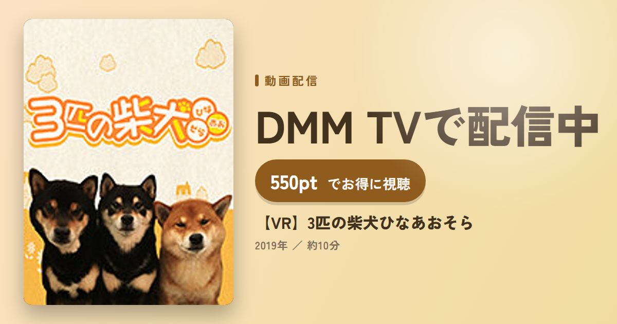 【VR】3匹の柴犬ひなあおそらのアイキャッチ