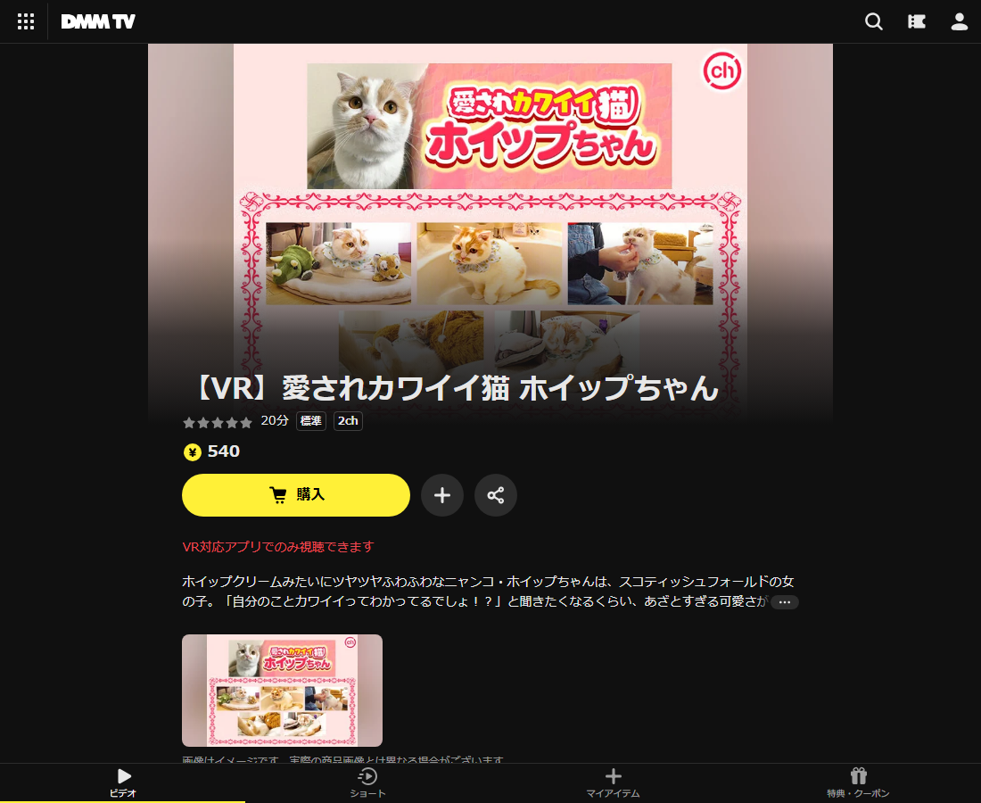 【VR】愛されカワイイ猫 ホイップちゃんはDMM TVで配信