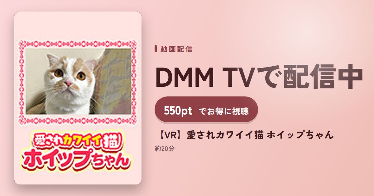 【VR】愛されカワイイ猫 ホイップちゃんのアイキャッチ
