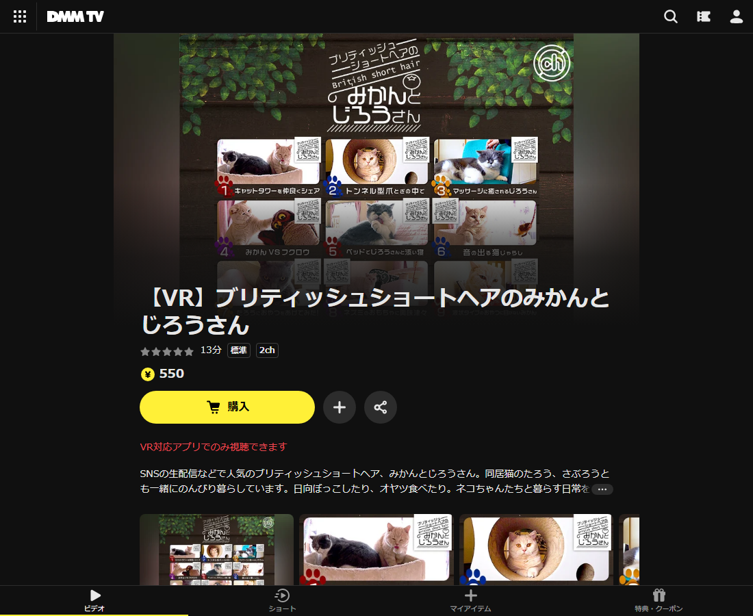 【VR】ブリティッシュショートヘアのみかんとじろうさんはDMM TVで配信