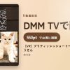 【VR】ブリティッシュショートヘアのみかんとじろうさんのアイキャッチ