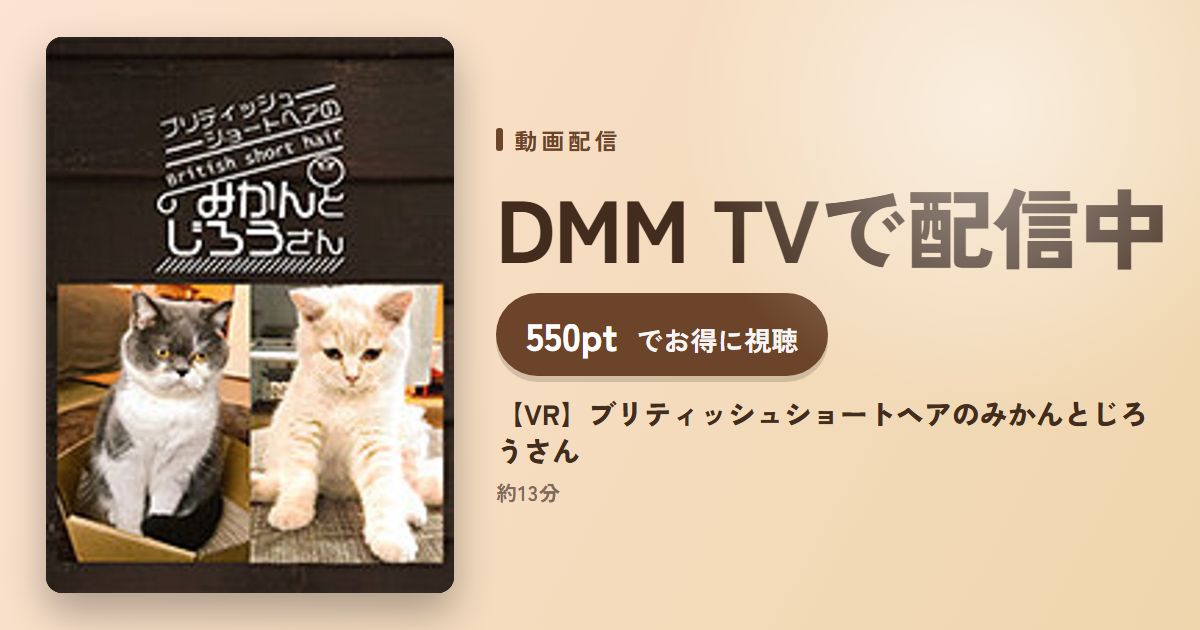 【VR】ブリティッシュショートヘアのみかんとじろうさんのアイキャッチ