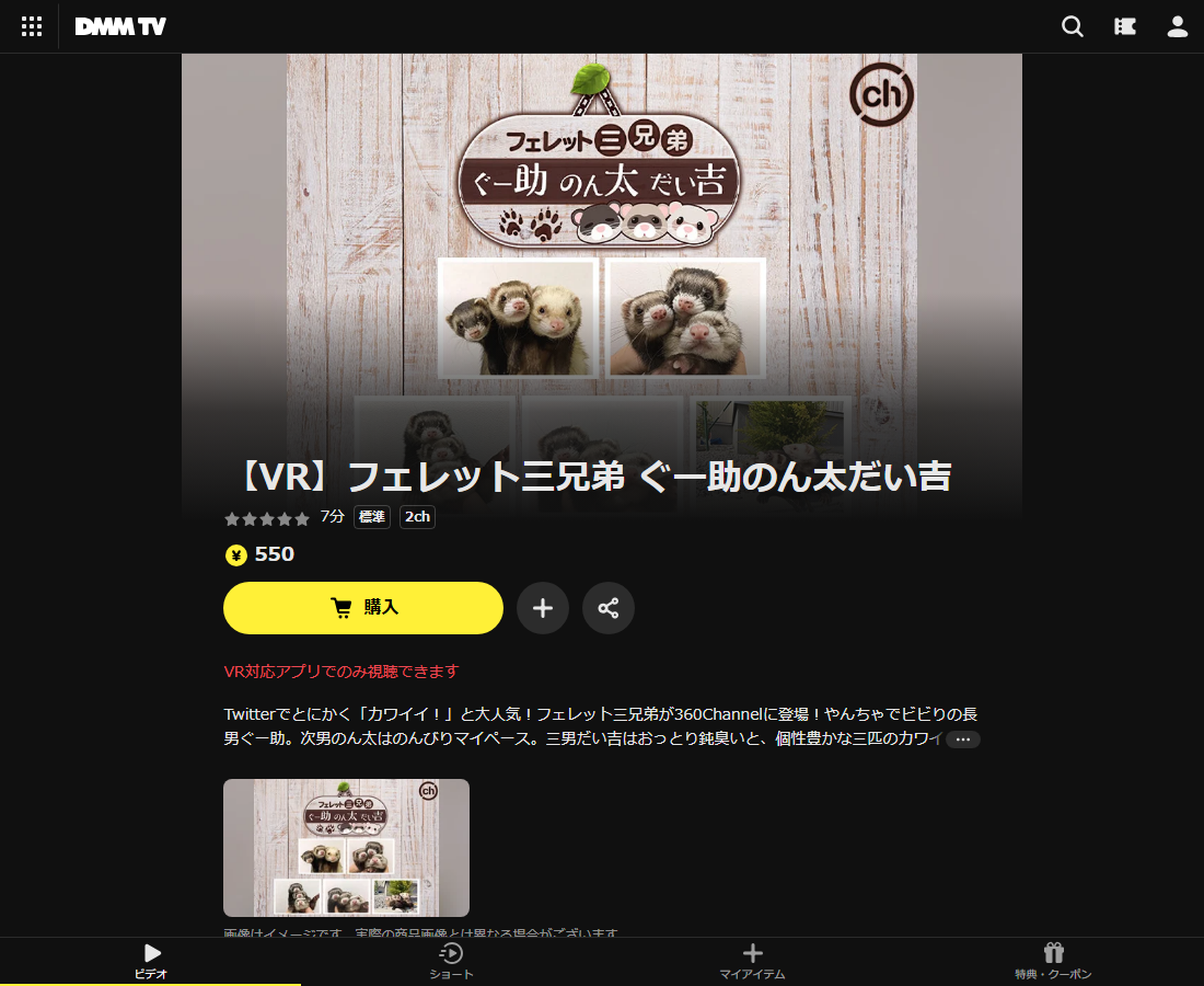 【VR】フェレット三兄弟 ぐー助のん太だい吉はDMM TVで配信