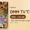【VR】VRアニマルカフェfuleca Vol.1のアイキャッチ