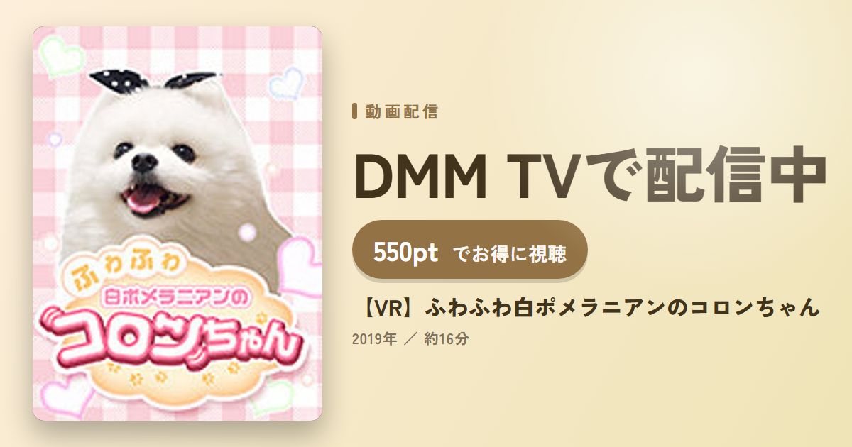 【VR】ふわふわ白ポメラニアンのコロンちゃんのアイキャッチ