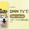 【VR】ハマジさん家の大吉とシルビアのアイキャッチ