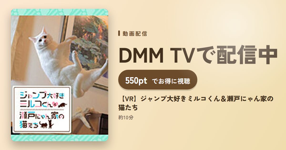 【VR】ジャンプ大好きミルコくん＆瀬戸にゃん家の猫たちのアイキャッチ