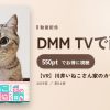【VR】川井いねこさん家のカワイイ猫たちのアイキャッチ