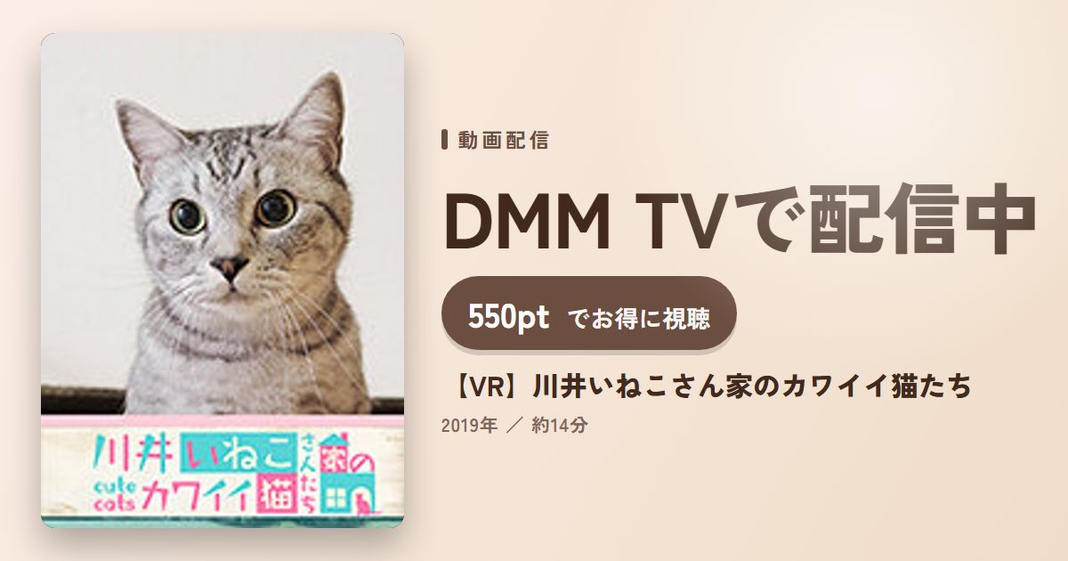 【VR】川井いねこさん家のカワイイ猫たちのアイキャッチ