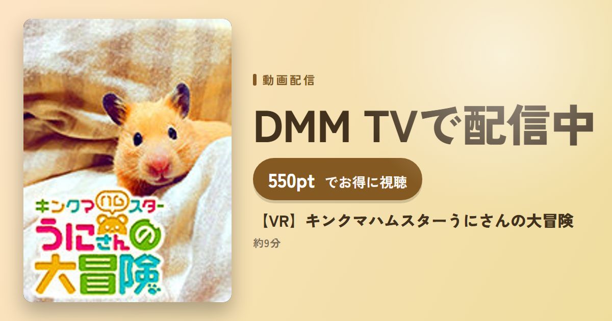 【VR】キンクマハムスターうにさんの大冒険のアイキャッチ