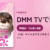 【VR】コツメカワウソのさくらちゃんのアイキャッチ