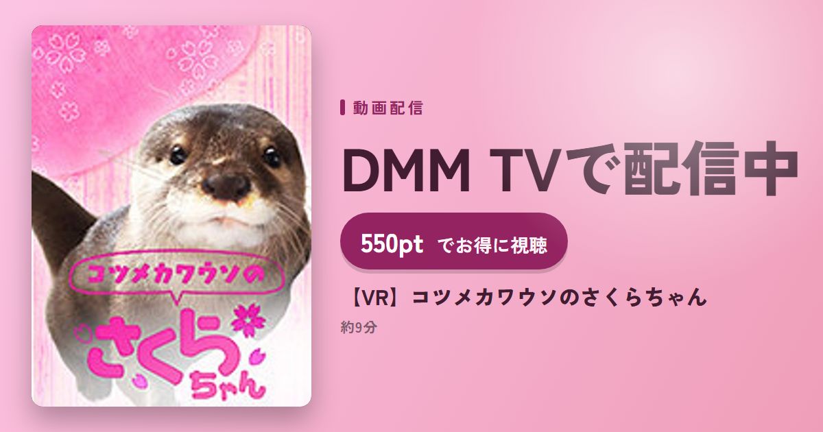【VR】コツメカワウソのさくらちゃんのアイキャッチ