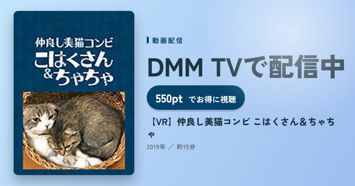 【VR】仲良し美猫コンビ こはくさん＆ちゃちゃのアイキャッチ