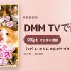 【VR】にゃんにゃんパラダイス/猫楽園のアイキャッチ