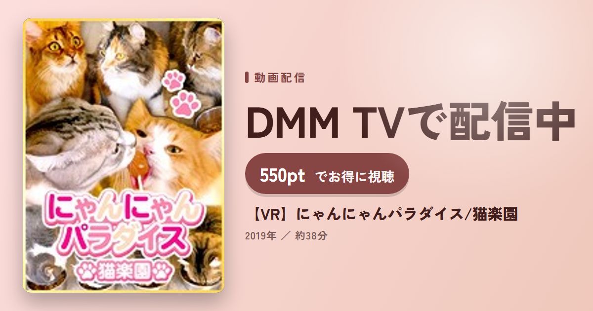 【VR】にゃんにゃんパラダイス/猫楽園のアイキャッチ