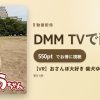 【VR】おさんぽ大好き 柴犬ゆうちゃんのアイキャッチ