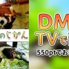【VR】おやつのじかん in 群馬サファリパークのアイキャッチ
