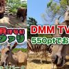 【VR】本物にも負けない体験サファリ in 群馬サファリパークのアイキャッチ