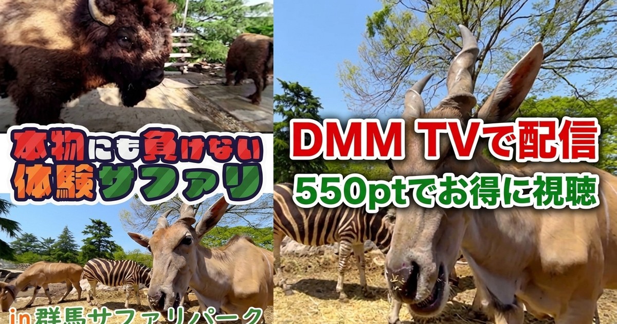【VR】本物にも負けない体験サファリ in 群馬サファリパークのアイキャッチ