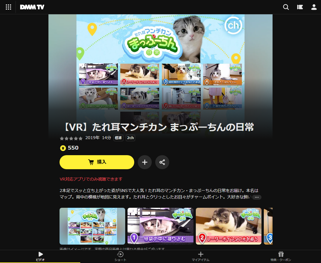 【VR】たれ耳マンチカン まっぷーちんの日常はDMM TVで配信