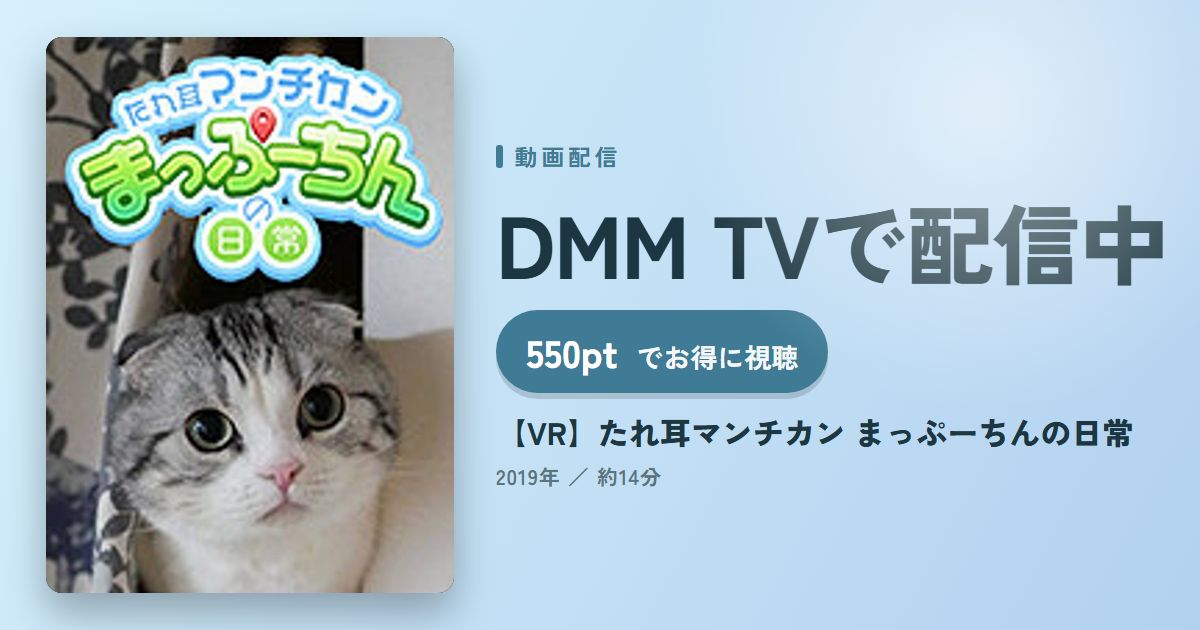 【VR】たれ耳マンチカン まっぷーちんの日常のアイキャッチ