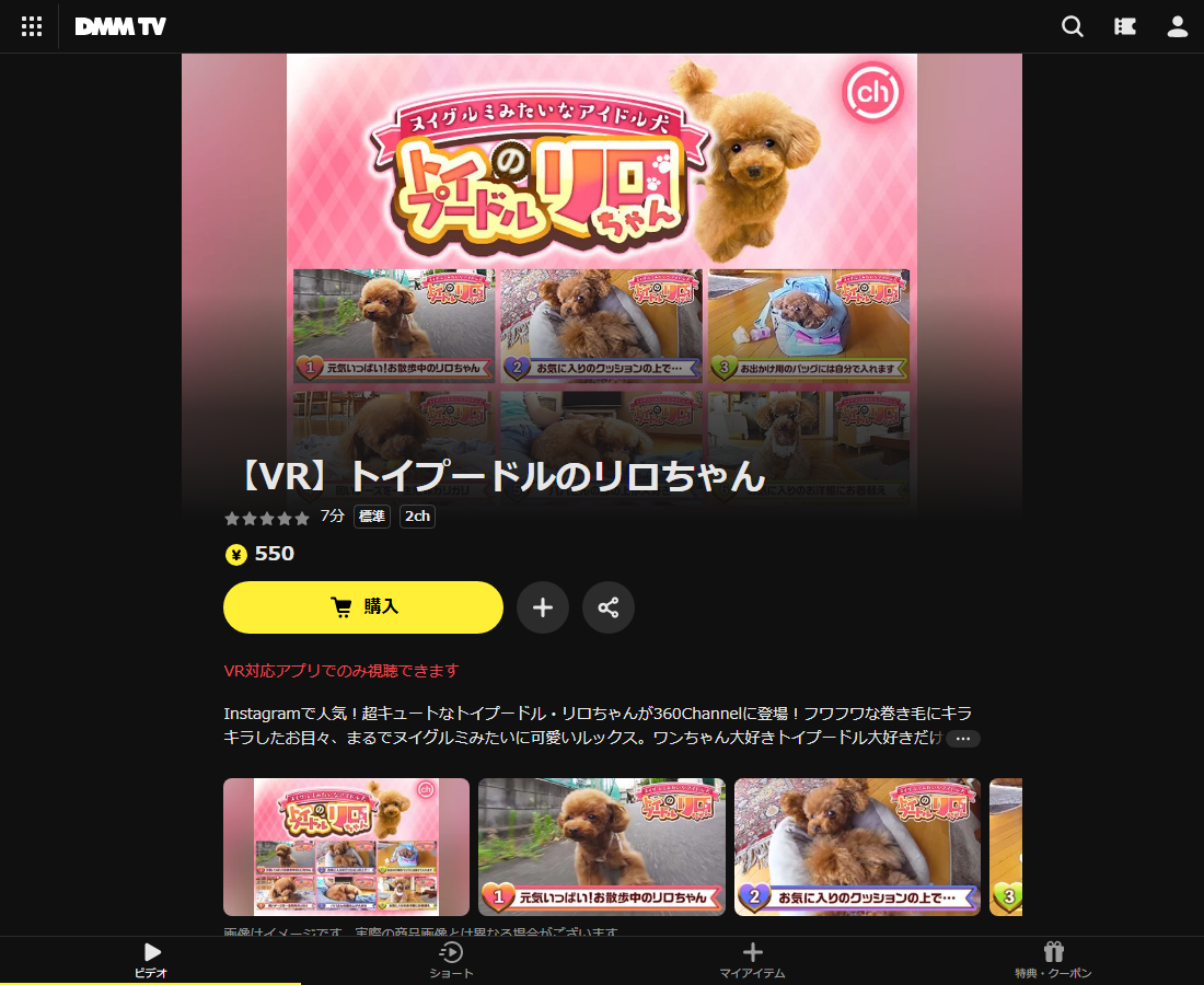 【VR】トイプードルのリロちゃんはDMM TVで配信