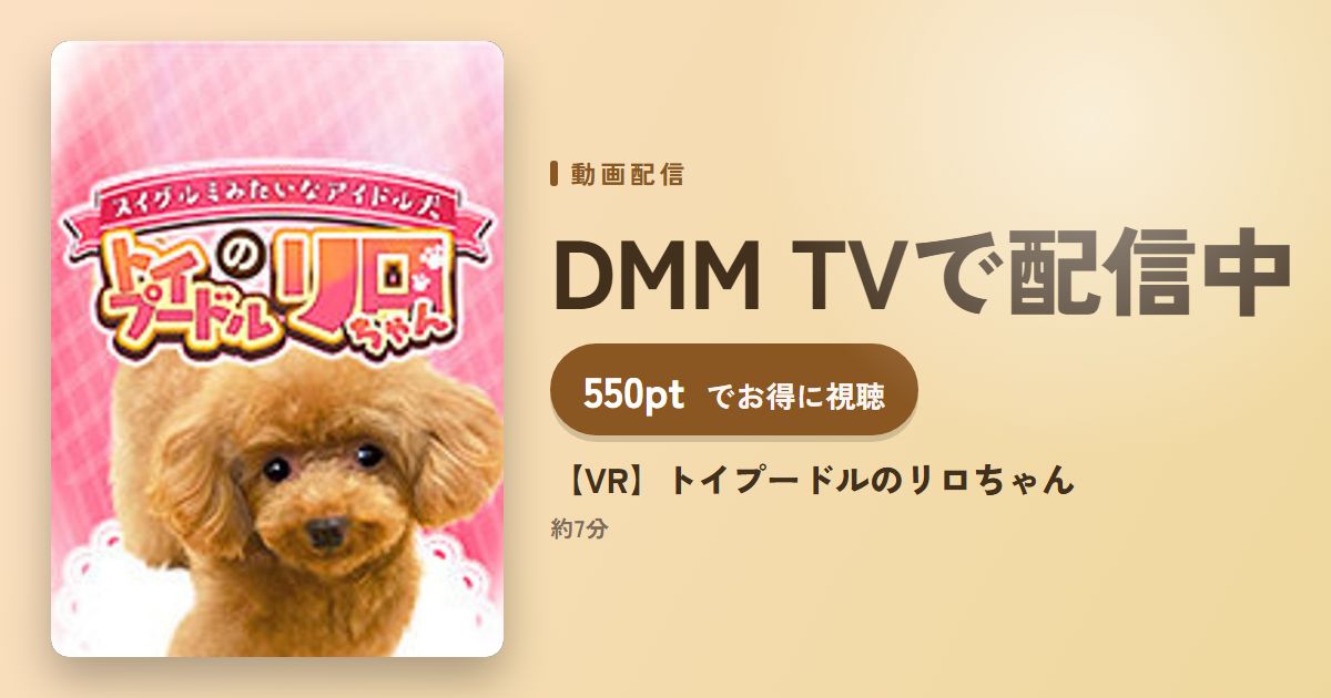 【VR】トイプードルのリロちゃんのアイキャッチ