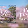 【VR】日本の絶景-六義園-のアイキャッチ