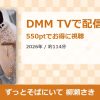 ずっとそばにいて 柳瀬さきのアイキャッチ