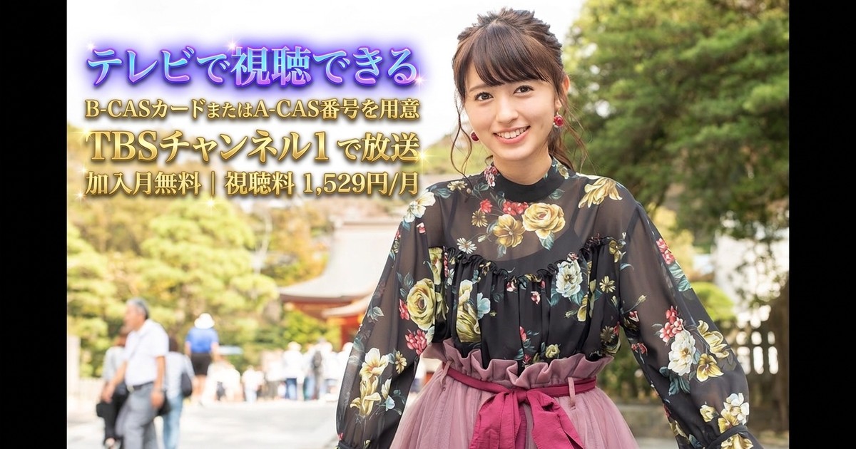 逢田梨香子のスローな休日 テレビ放送視聴方法