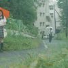 雨のまにまに