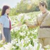 あの花が咲く丘で、君とまた出会えたら。