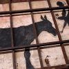 バンクシーを盗んだ男