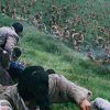 バトル・フィールド 鳳梧洞〈ポンオドン〉の戦闘