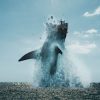ブラック・デーモン　絶体絶命