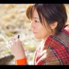 ちょこっと京都に住んでみた。