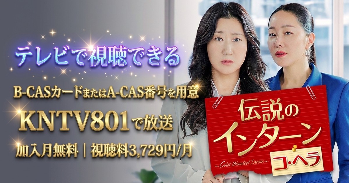 伝説のインターン コ・ヘラ ～Cold Blooded Intern～テレビ放送・見逃し配信視聴方法