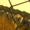 誰のための公共事業 ～ギロチンが宝の海を壊した〜