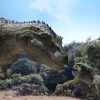 ディノ・キング　恐竜王国と炎の山の冒険