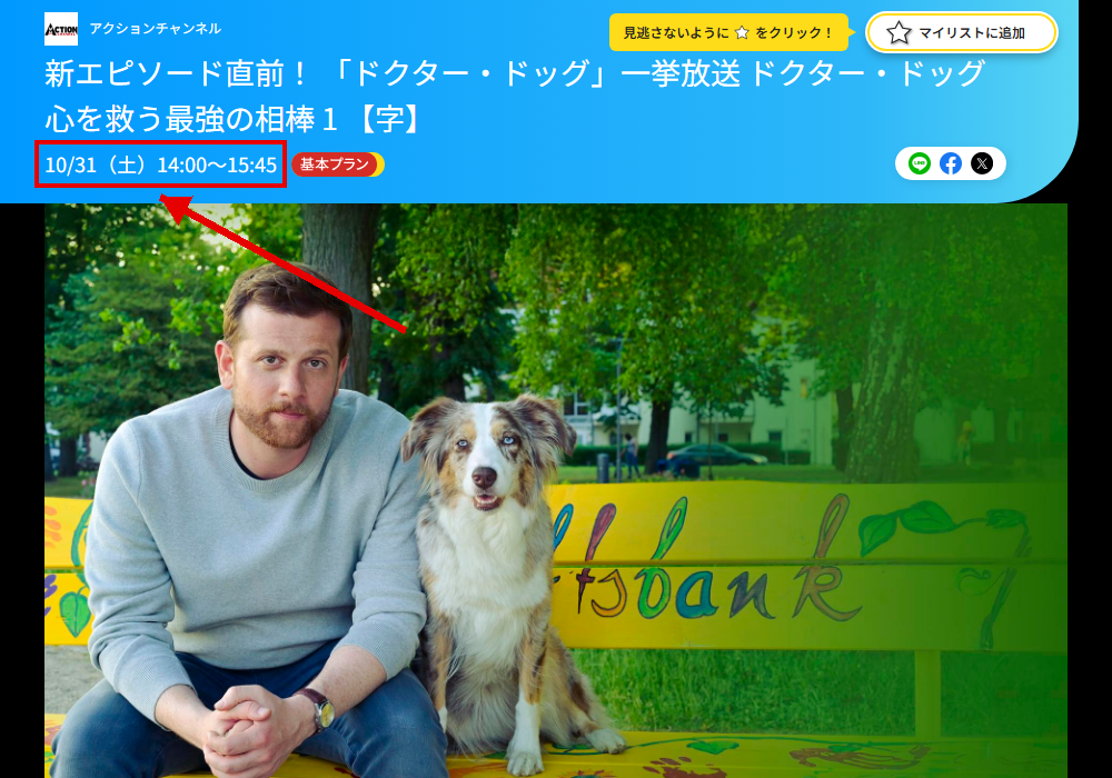ドクター・ドッグ 心を救う最強の相棒はアクションチャンネルで放送
