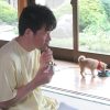 ドラマ マメシバ一郎