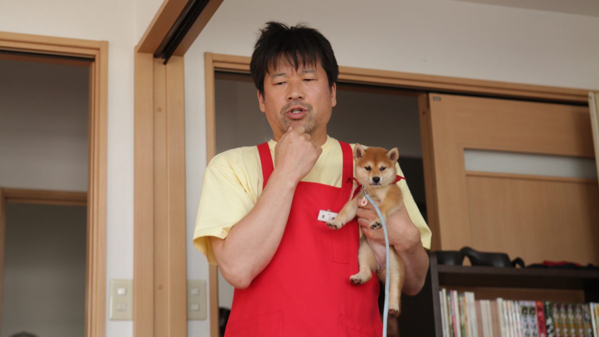ドラマ マメシバ一郎 フーテンの芝二郎
