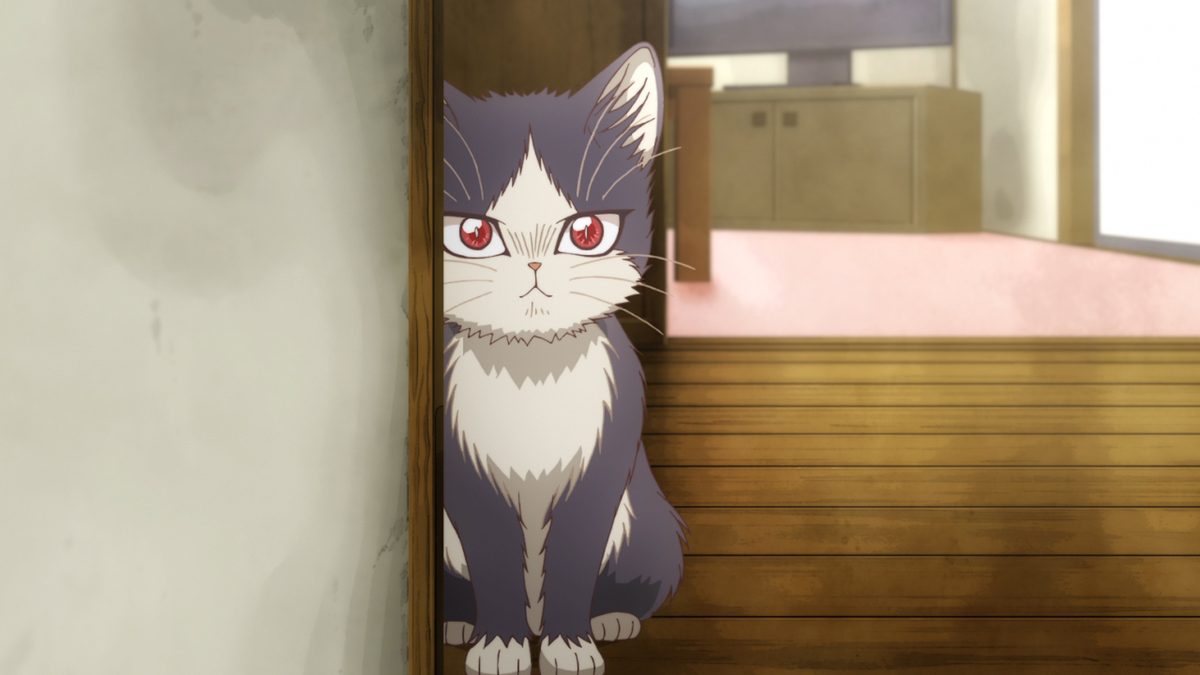 同居人はひざ、時々、頭のうえ。“にゃんコレVer.”
