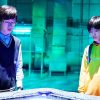映画版 都会のトム＆ソーヤ