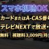 2026 FORMULA 1 第17戦 シンガポールGPテレビ放送・見逃し配信視聴方法